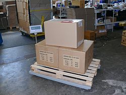 Esempio di uso della bilancia per pallet PCE-EP 1500