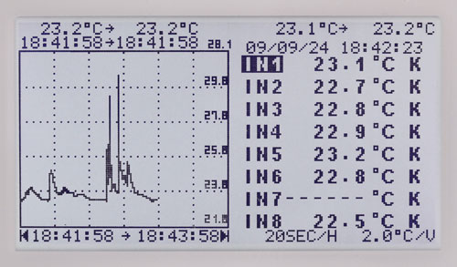 Display del termometro registratore con una grafica