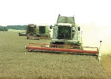 Igrometro per determinare l'umidit� assoluta dei cereali (misurazioni dirette nel campo, nel molino o nel granaio).