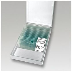 Differenti preparati del microscopio per l'insegnamento PCE-BM 200
