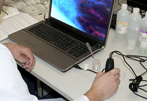 Microscopio USB con luce ultravioletta PCE-MM 200 UV in laboratorio