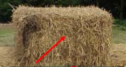 Il misuratore di umidità per il foraggio in una balla di paglia