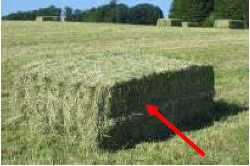 Il misuratore di umidità per il foraggio in una balla di paglia