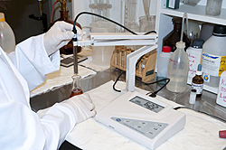 Qui pu vedere un'altra immagine usando il misuratore di pH da tavolo PCE-BPH 1 en un laboratorio de pruebas. 