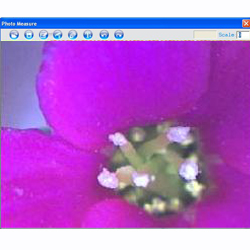 In questa immagine pu� vedere un fiore di una pianta presa col microscopio USB PCE-MM 200.