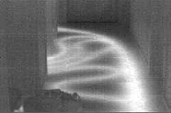 La stessa immagine ma come scala di grigi con la termocamera.