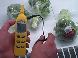 Psicrometro per l'umidit� relativa PCE-310 misurando la temperatura di un prodoctto.