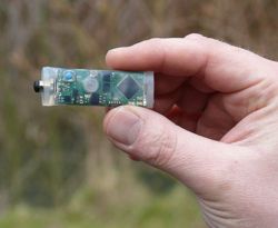 In questa immagine si pu� verificare la dimensione reale di questo registratore di temperatura