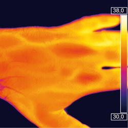 Eccellente risoluzione della termocamera PCE-PI-450