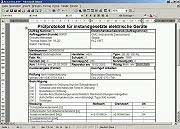 Software Word per il verificatore VDE.