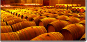 Bilance per pesare birra