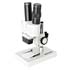 Microscopi Biorit ICD con luce riflessa, fino a 20 ingrandimenti, WF 10x (30,5 mm), oculare