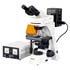 Microscopi Scienze ADL-601 a fluorescenza, fino a 1000 ingrandimenti (luce), 600 ingrandimenti (fluorescenza)
