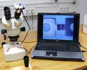 Microscopi della serie TM in uso.