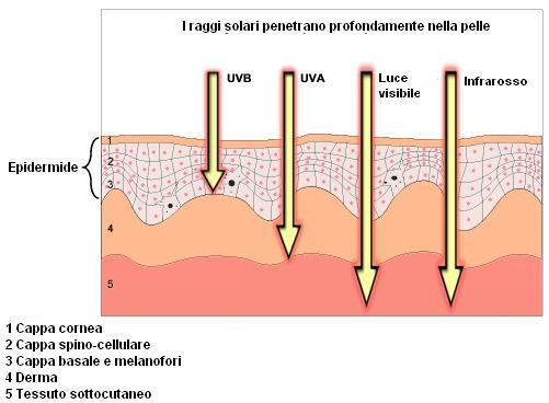 Misura dell'influenza delle radiazioni solari sulla pelle