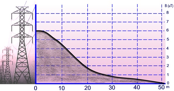 Radiometri: valori di densit del flusso magnetico.